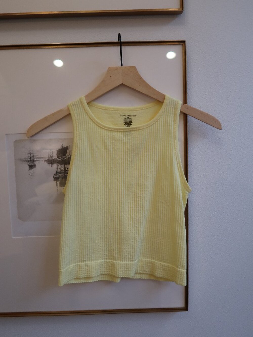 The Reegan Seamless Ribbed Cropped Tank Top